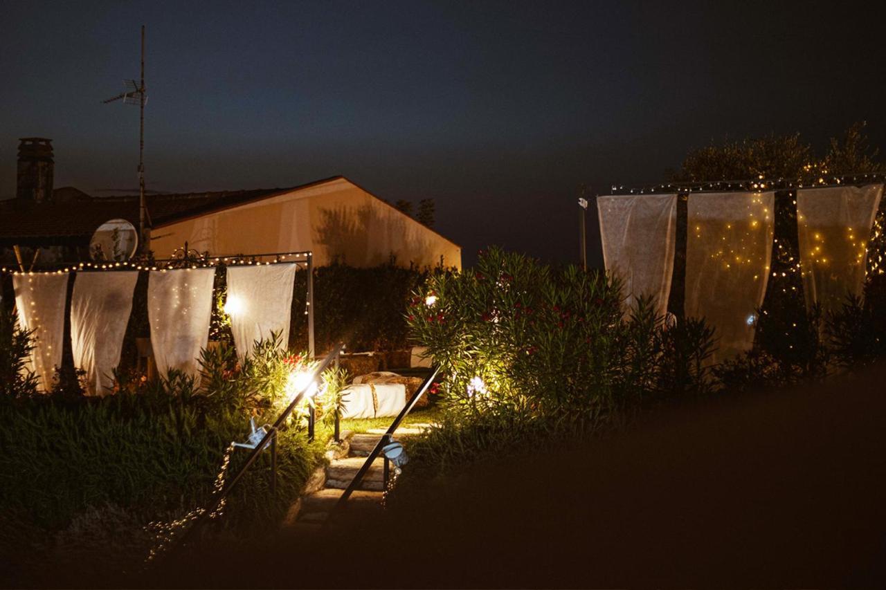Villa Mascitti B&B Tortoreto Alto 托尔托雷托 外观 照片