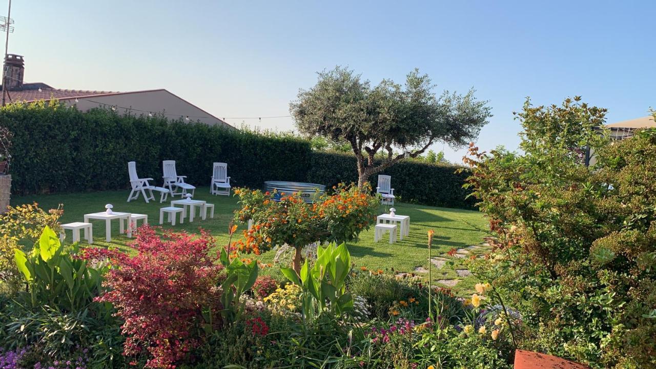Villa Mascitti B&B Tortoreto Alto 托尔托雷托 外观 照片