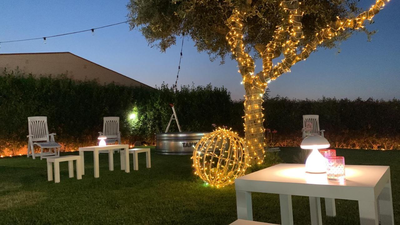 Villa Mascitti B&B Tortoreto Alto 托尔托雷托 外观 照片