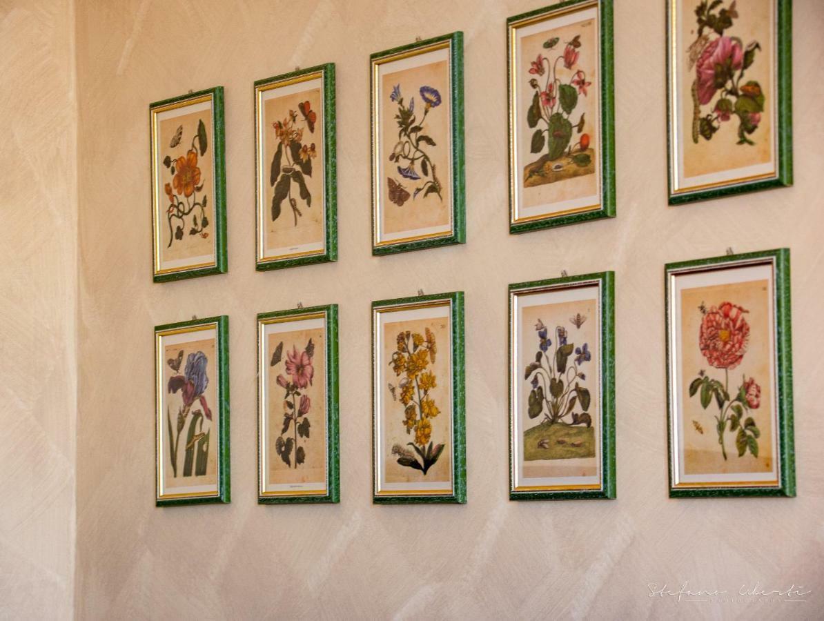 Villa Mascitti B&B Tortoreto Alto 托尔托雷托 外观 照片