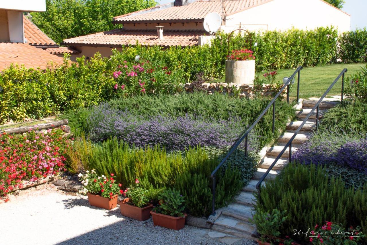 Villa Mascitti B&B Tortoreto Alto 托尔托雷托 外观 照片